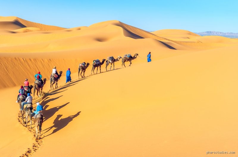 ما هي أصغر صحراء في أفريقيا؟
