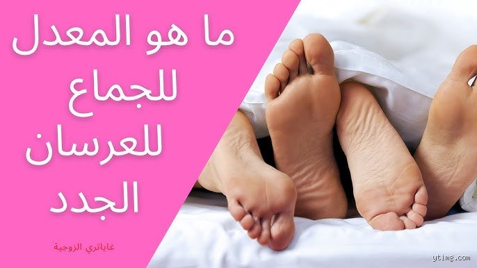 الرجل الطبيعي كم مرة يعاشر زوجته في اليوم؟ الحقيقة وراء الأرقام المتداولة