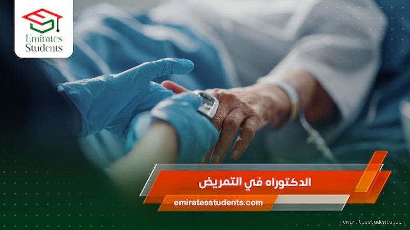 طريقك الوعر والمكافئ: كيف يمكنني الحصول على شهادة الدكتوراه في التمريض في عالم متغير؟