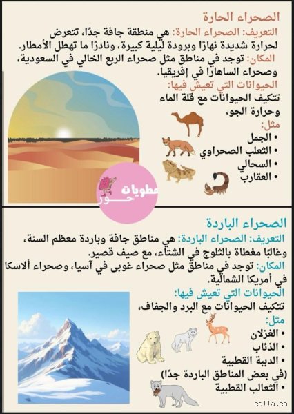 ما الفرق بين الصحاري الحارة والباردة؟ أسرار البقاء في أطراف العالم القاسية