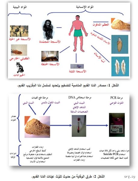 ما هي العوامل الثلاثة المسببة للموت؟ نظرة طبية خلف الستار