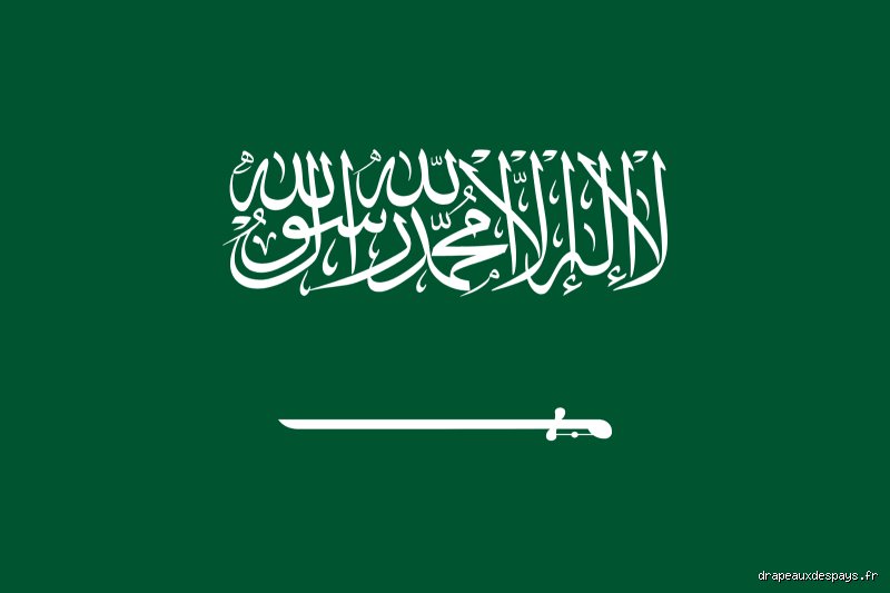ما هي ؟ تفكيك الشفرة الحقيقية وراء التحول السعودي المعاصر