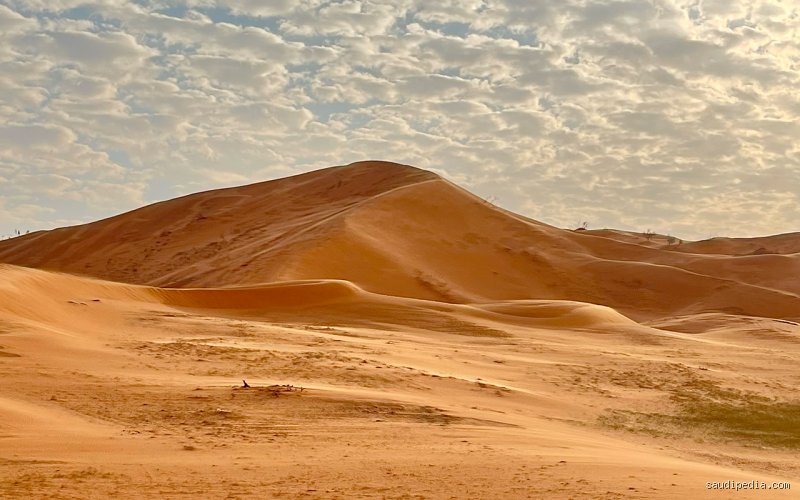 ماذا تسمى صحراء السعودية؟ لغز الرمال التي لا تنتهي