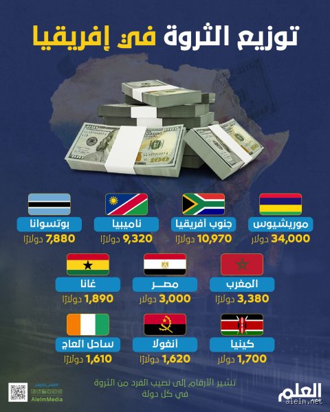 ما هي أغنى دولة في قارة أفريقيا من حيث الناتج المحلي الإجمالي للفرد؟