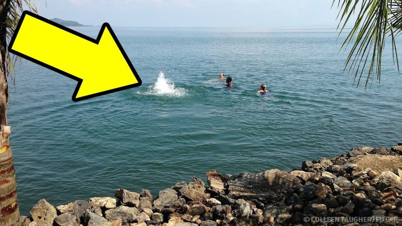 أي بحر لا يمكنك السباحة فيه؟ حقائق غريبة عن الموت البيولوجي