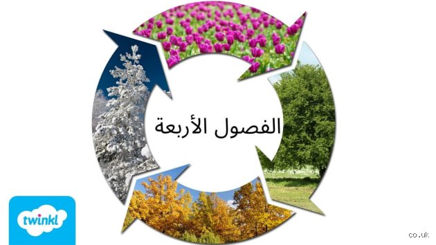 أي دولة لديها الفصول الستة جميعها؟ رحلة في جغرافيا المناخ الاستثنائي