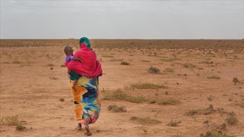 القرن الأفريقي: أي منطقة من أفريقيا هي الأكثر تضرراً من الجفاف والصراعات المنسية؟