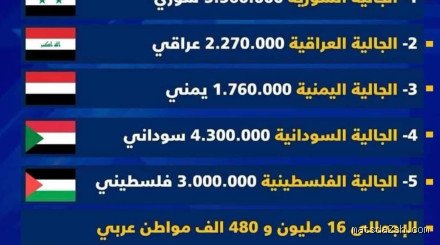 كم نسبة المصريين الأصليون في مصر؟