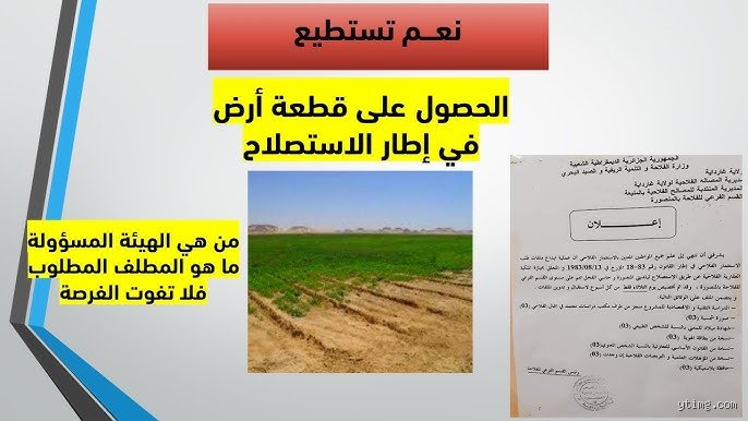 كيفية الحصول على ارض فلاحية في الجزائر: دليلك العملي لفك شفرة العقار الريفي