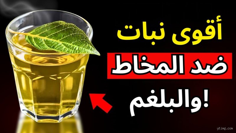 ما هو النبات الذي يحلل المخاط؟ الطبيعة تفكك شيفرة البلغم المزمن