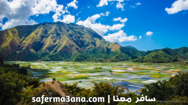 ما هو ترتيب الدول حسب جمال الطبيعة؟ الدليل المستند إلى البيانات