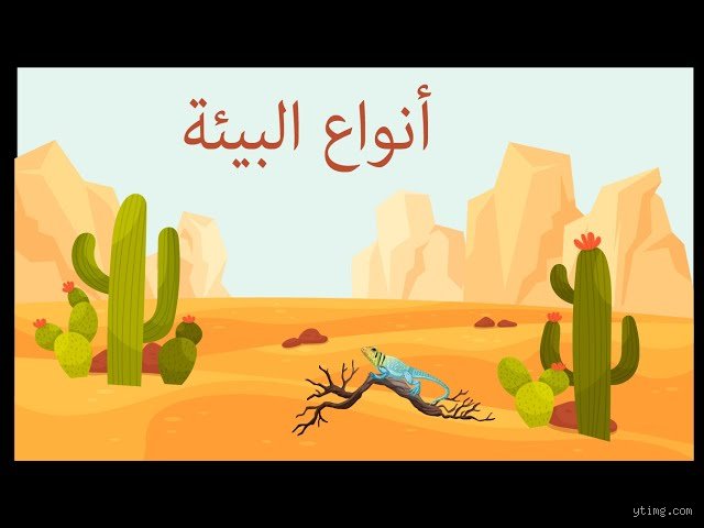 ما هي أنواع البيئة الأربعة؟ دليلك لفهم المنظومات التي تشكل حياتنا