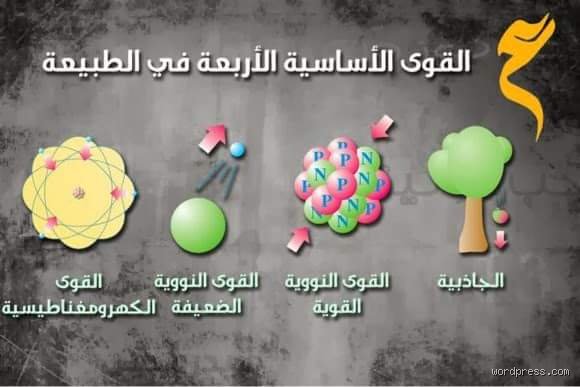 سر الكون الأكبر: ما هي القوى الأساسية الأربعة وكيف تحرك وجودنا؟