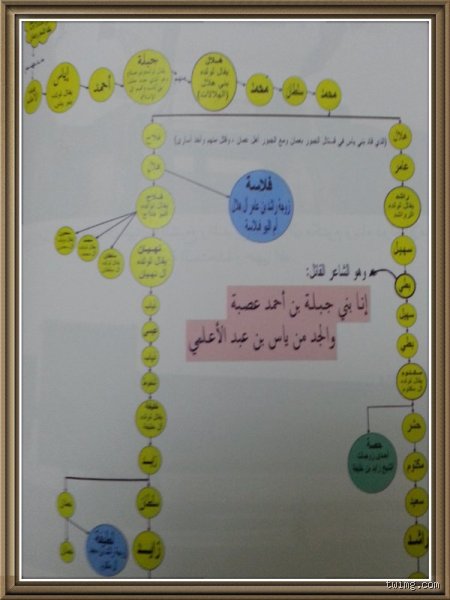 ما هي صلة القرابة بين آل نهيان وال مكتوم؟ الأصول والروابط التاريخية
