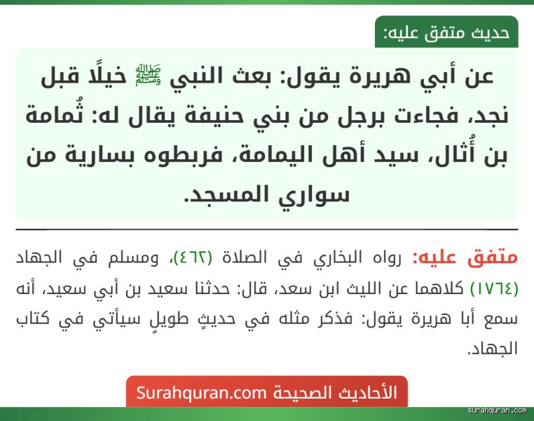 Content needs to be in Arabic, about "ماذا قال الرسول عن اليمامة؟", > 500 words (target 700+).