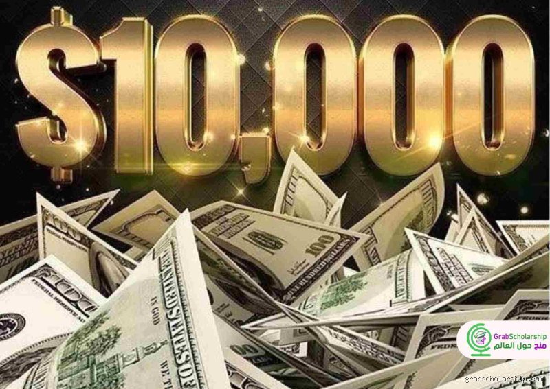 ماذا يحدث إذا سحبت أكثر من 10000 دولار؟ الحقيقة وراء الرقابة البنكية
