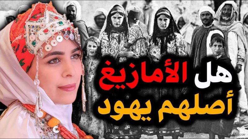 هل البربر أصلهم من أوروبا؟ فك شفرة الهوية الأمازيغية بين علم الجينات والتاريخ