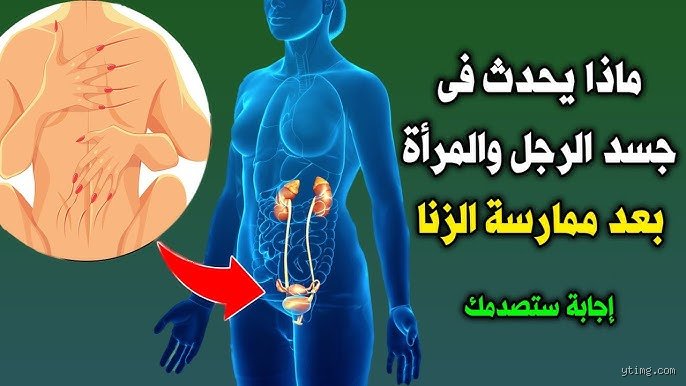 هل الزنا يضعف الجسم؟ حقائق علمية بعيداً عن صخب الوعظ