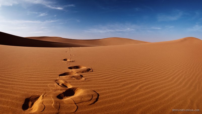 هل السعودية كلها صحراء؟ الحقيقة الكاملة خلف السراب الرملي