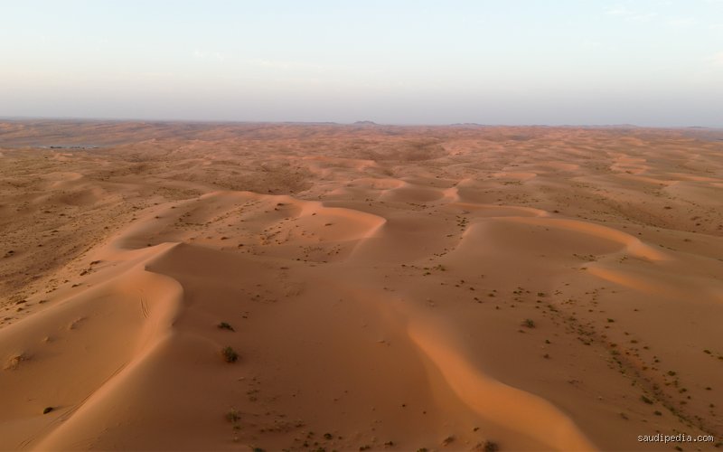 هل السعودية منطقة صحراوية؟ الحقيقة وراء الكثبان