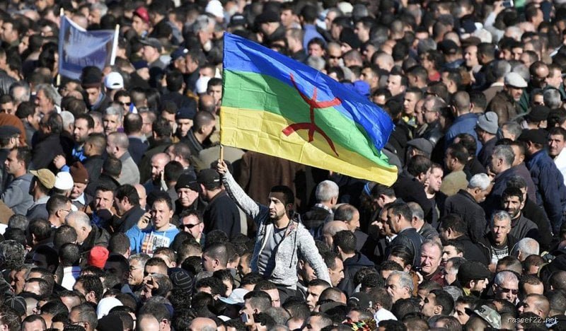 هل الشعب الجزائري أمازيغي؟ تفكيك الهوية بين صدمة الجينات ووهم السياسة