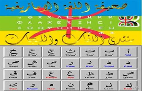هل اللغة الأمازيغية لغة رسمية في الجزائر؟ تفكيك المتاهة الدستورية والهوية المفخخة