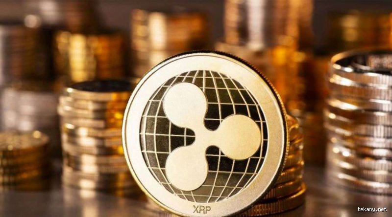 هل سيجعلك XRP مليونيراً؟ الحقيقة المجردة بين أحلام "اللامبو" وواقع المؤسسات