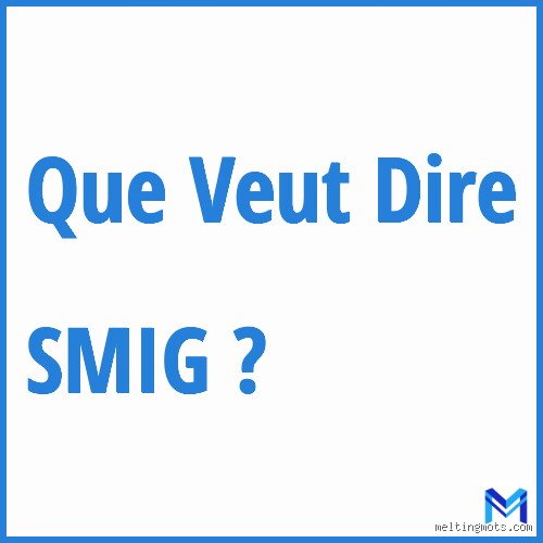 ما هي كلمة SMIG بالفرنسية؟ دليلك لفهم الحد الأدنى للأجور في فرنسا والمغرب