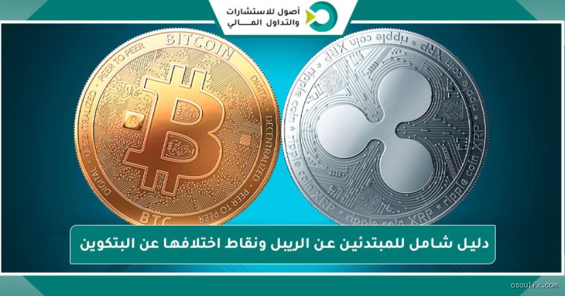 دليل استثمار الأموال في عملة XRP للمبتدئين: هل تشتري التكنولوجيا أم تشتري الحلم؟