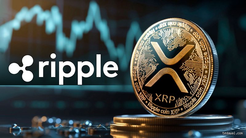 هل ينبغي عليّ شراء عملة XRP الآن؟ إليك الحقيقة بعيداً عن ضجيج التوقعات