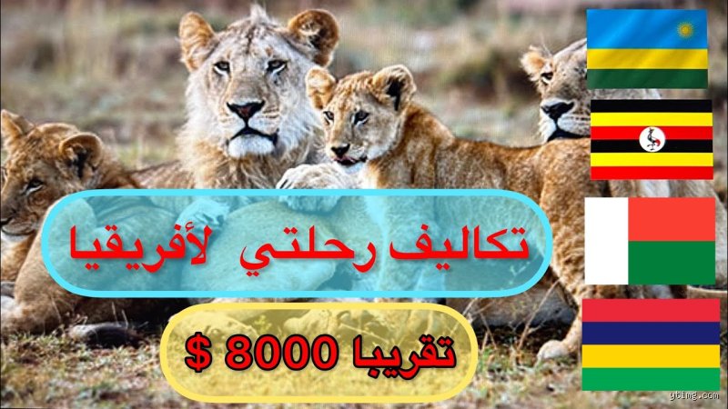 أيهما أكثر تطوراً، كينيا أم رواندا؟ صراع العمالقة في شرق أفريقيا