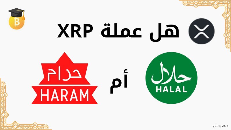 هل عملة XRP حلال أم حرام؟ الدليل القاطع في متاهة الفقه والسيولة