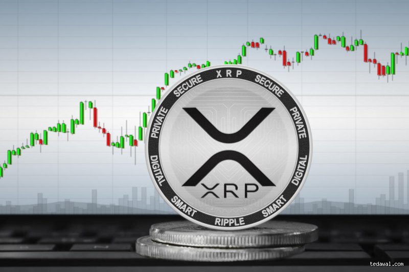 عملة XRP هل لها مستقبل؟ تشريح الصراع بين هيمنة البنوك وتمرد الكريبتو