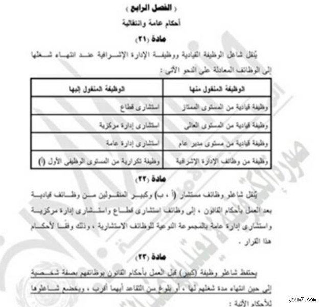 كيف أعرف درجة وظيفتي؟ الدليل العملي لفك شفرة السلم الوظيفي