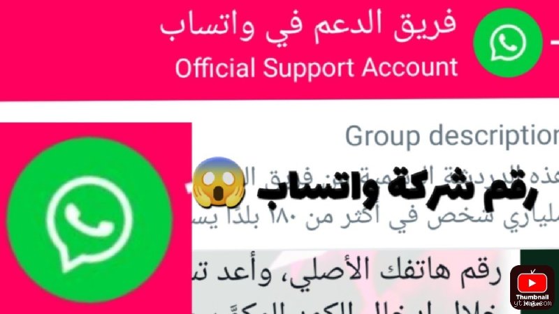 كيف اتصل بفريق الدعم واتساب؟ دليلك لكسر جدار الصمت التقني