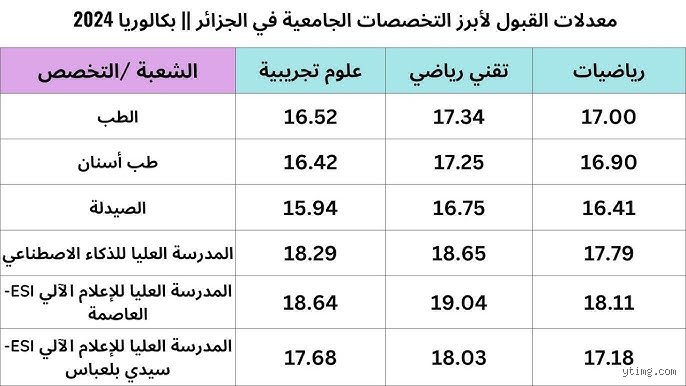 ما هو أكثر تخصص مطلوب في الجزائر؟ دليل الفرص الضائعة والرهانات الرابحة