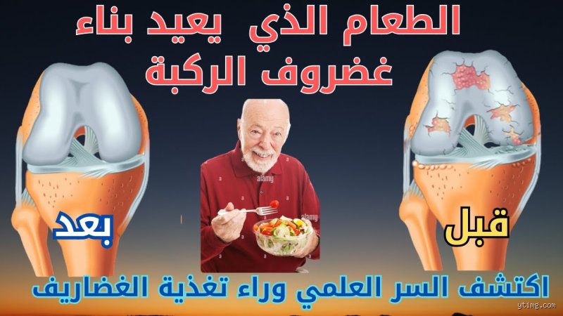 ما هو الغذاء الذي يعيد بناء غضروف الركبة؟