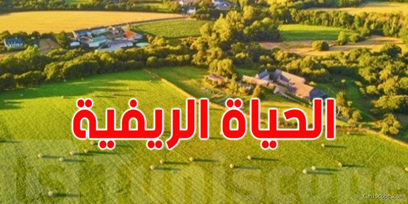 ما هي المشاكل في المناطق الريفية؟ تشريح للواقع بعيدًا عن رومانسية الريف
