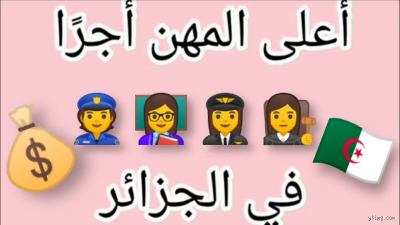 ما هي الوظيفة الأعلى أجراً في الجزائر؟ كشف المستور خلف أرقام الرواتب