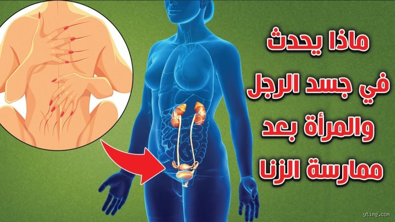 ماذا يحدث إذا ارتكب أحد الزوجين الزنا في الحياة الزوجية؟