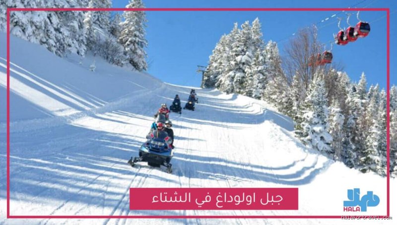 متى يسقط الثلج في 2026؟ خريطة الطريق نحو شتاء أبيض غير اعتيادي