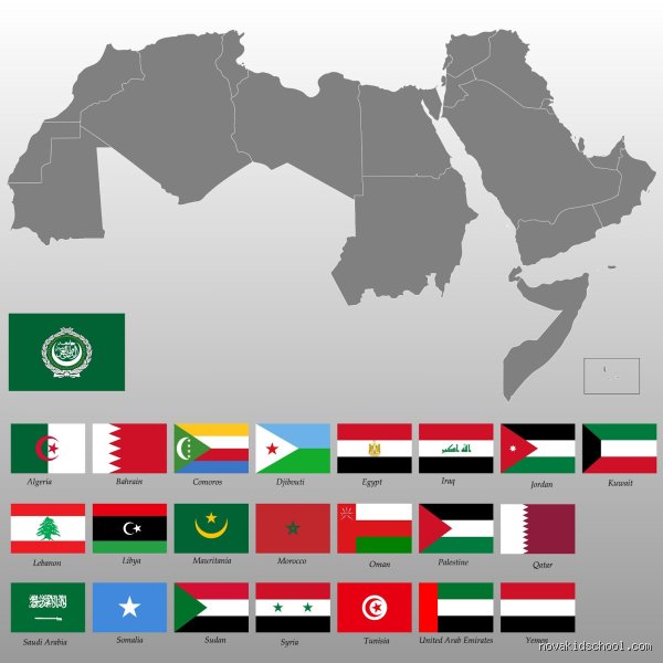 من هم 22 دولة عربية؟ تفكيك الجغرافيا والسياسة والهوية المشتركة
