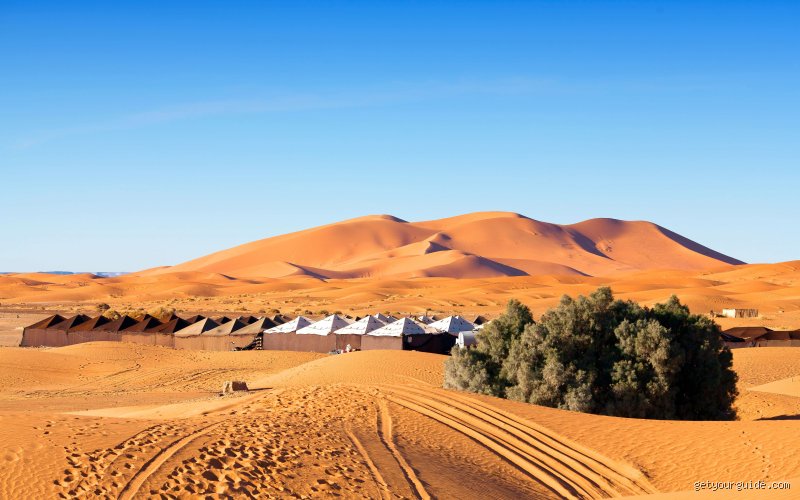 هل يمكنك زيارة الصحراء الغربية من المغرب؟ دليل السفر الميداني والواقع المعقد