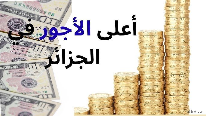ما هي أكثر وظيفة تجلب المال في الجزائر؟ الحقيقة خلف لغة الأرقام وأوهام "الشهادة"