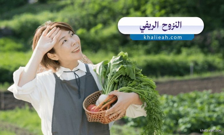 تسونامي الإسمنت: ما هي مخاطر نزوح الريفي على المدن وما الذي ينتظرنا خلف الأفق؟