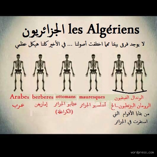 هل الجزائريون عرب أم أفارقة؟