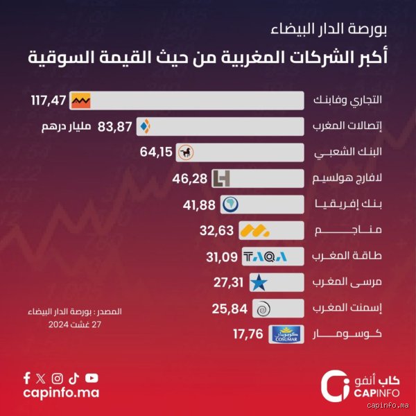 أغنى شركة في المغرب؟ تفكيك إمبراطورية المدى وثروة المملكة المنسية