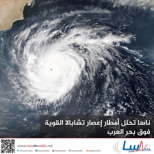 أي إعصار كان الأكثر هطولاً للأمطار؟ الحقيقة وراء طوفان هارفي والبيانات الصادمة