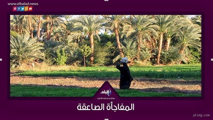 الريف أم المدينة؟ صراع أبدي بين ضجيج الإنجاز وسكينة البقاء