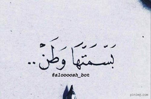 سحر البيان: كيف تصيغ اجمل العبارات القصيرة لتأسر القلوب والعقول؟